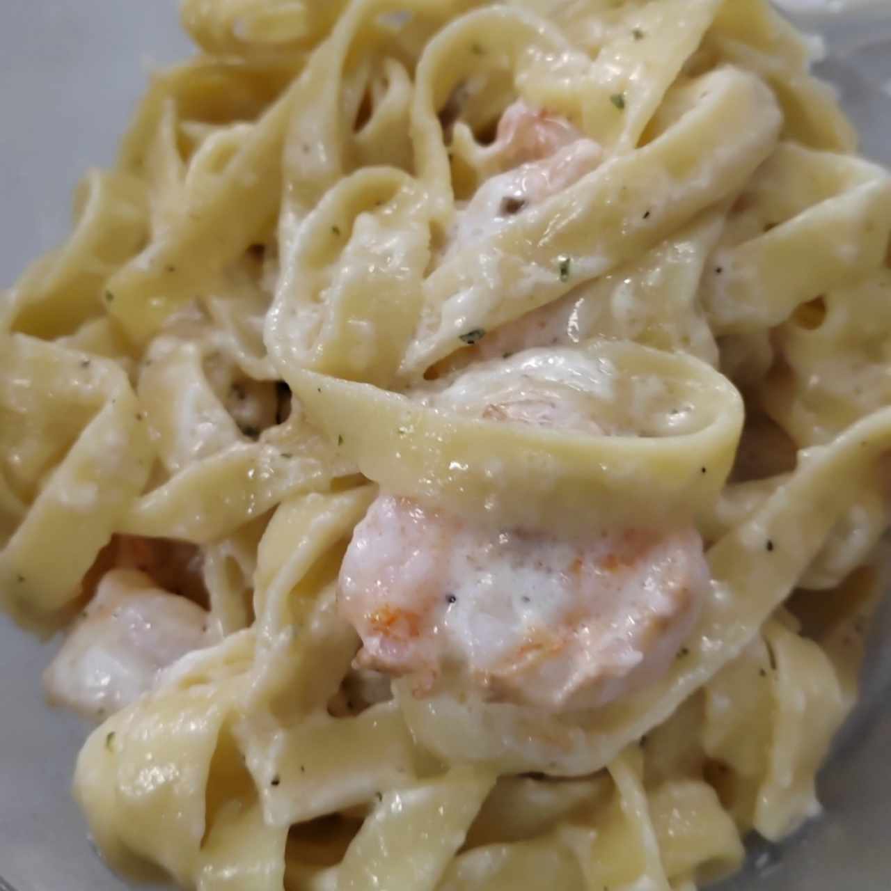 Amazing Alfredos - Shrimp Alfredo