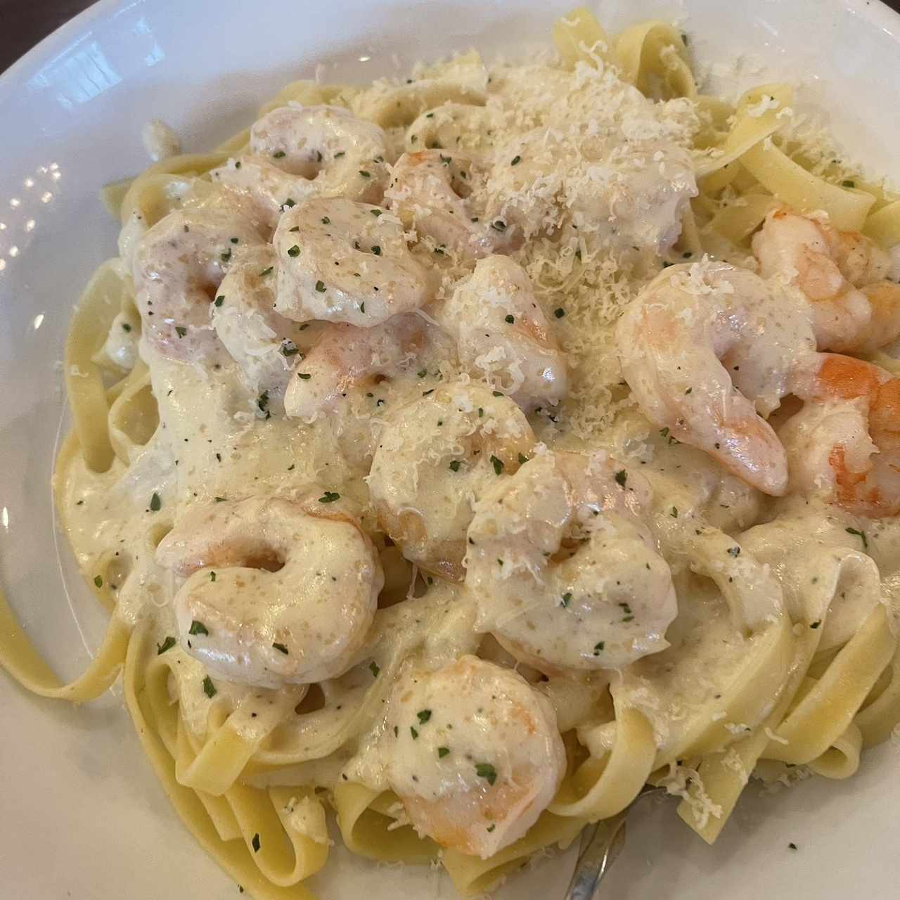 Amazing Alfredos - Shrimp Alfredo