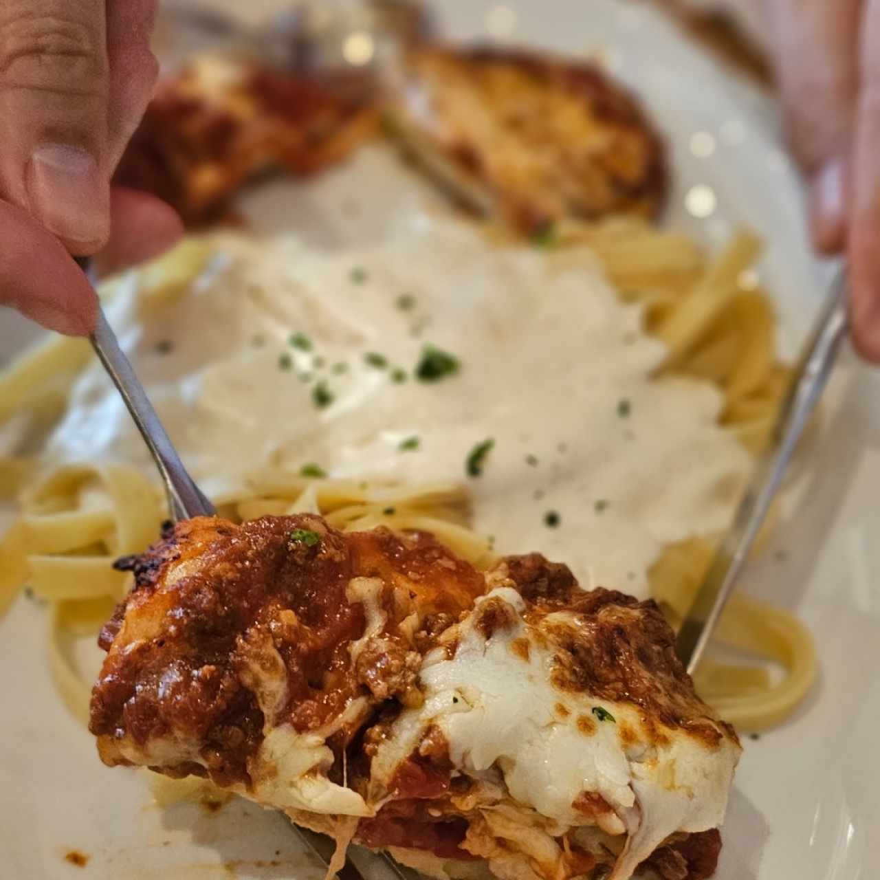 Turital spaghetti salsa blanca, pollo y lasaña 