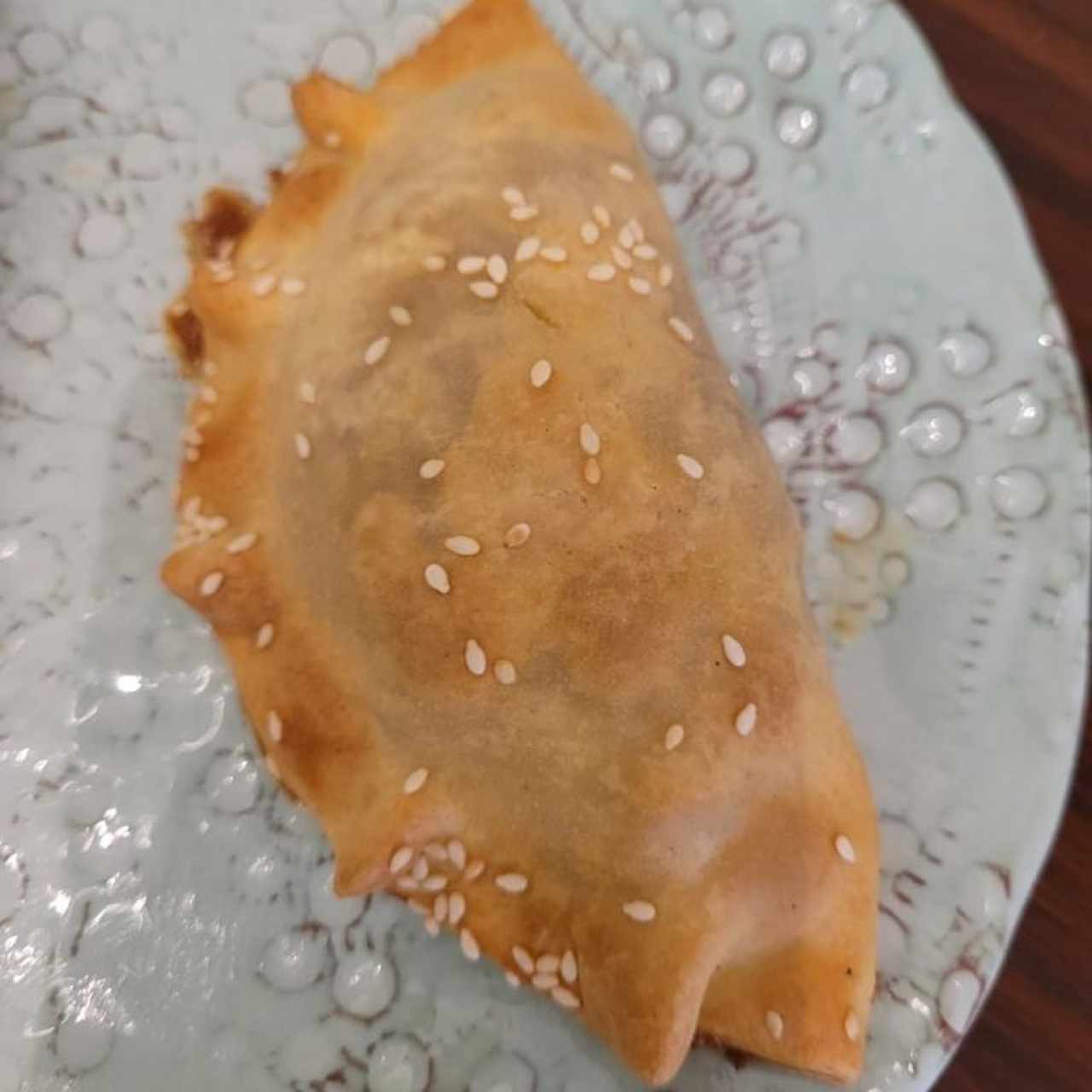 Empanada de Ropa Vieja 