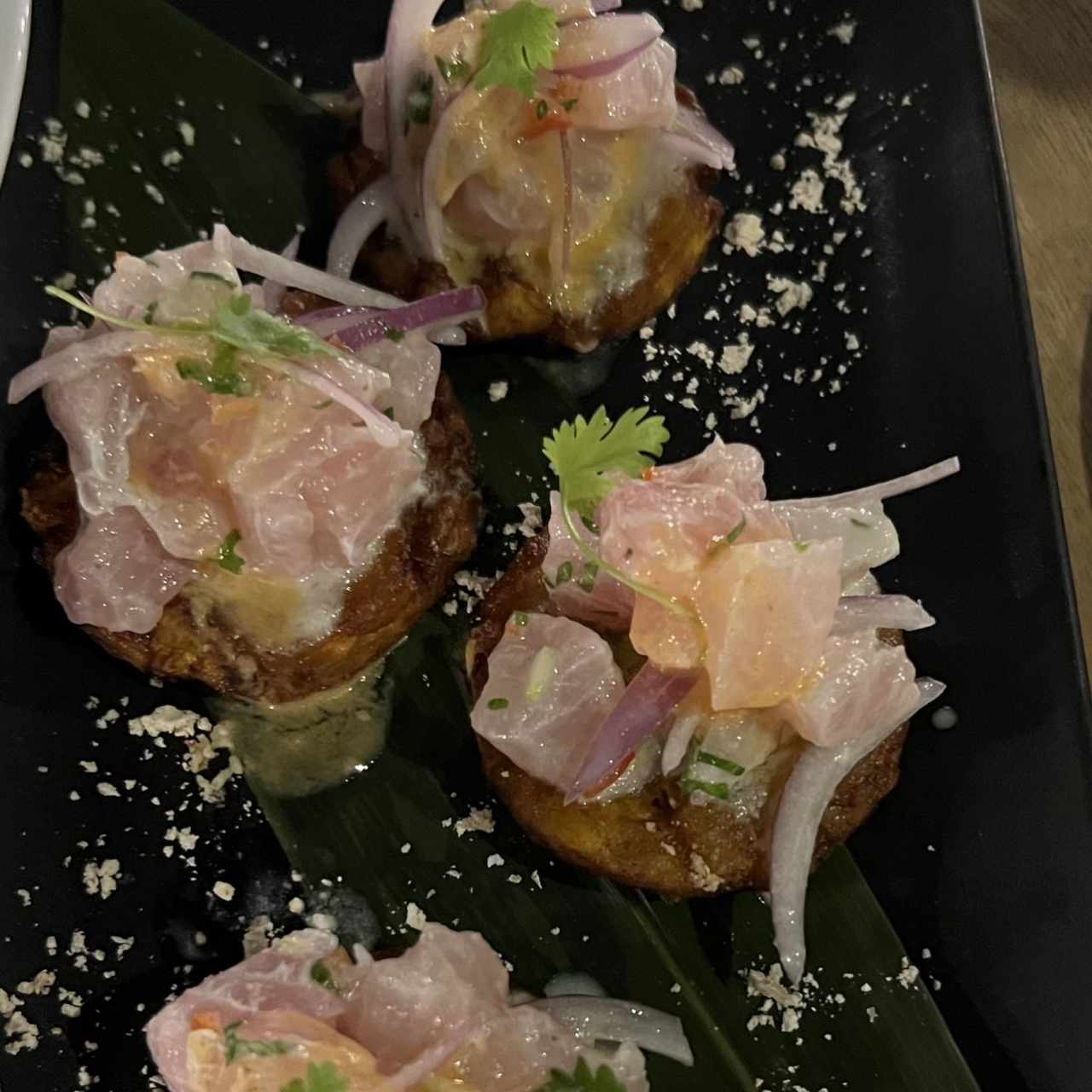 Patacon cevicheros