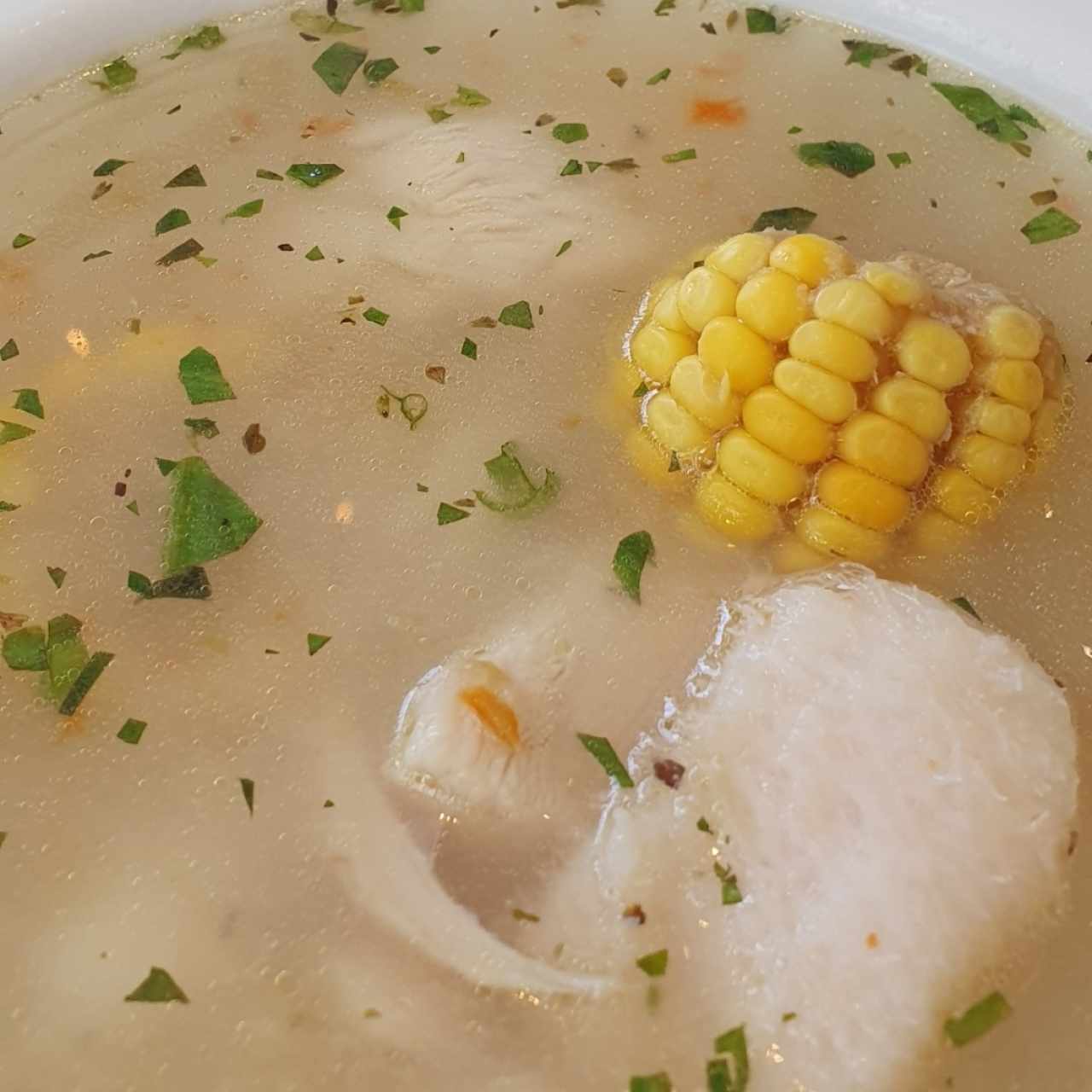 Sopas - Sancocho Panameño