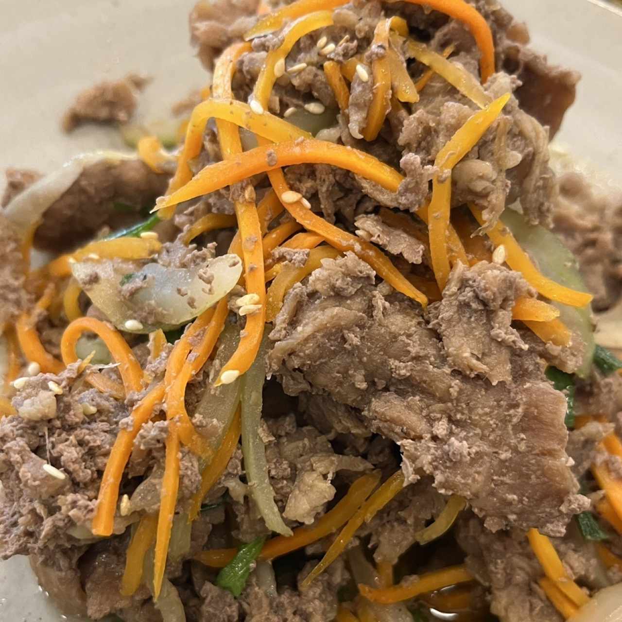 Carne/Marisco - BULGOGI