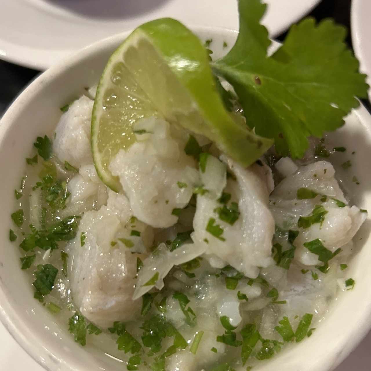 Ceviche de pescado