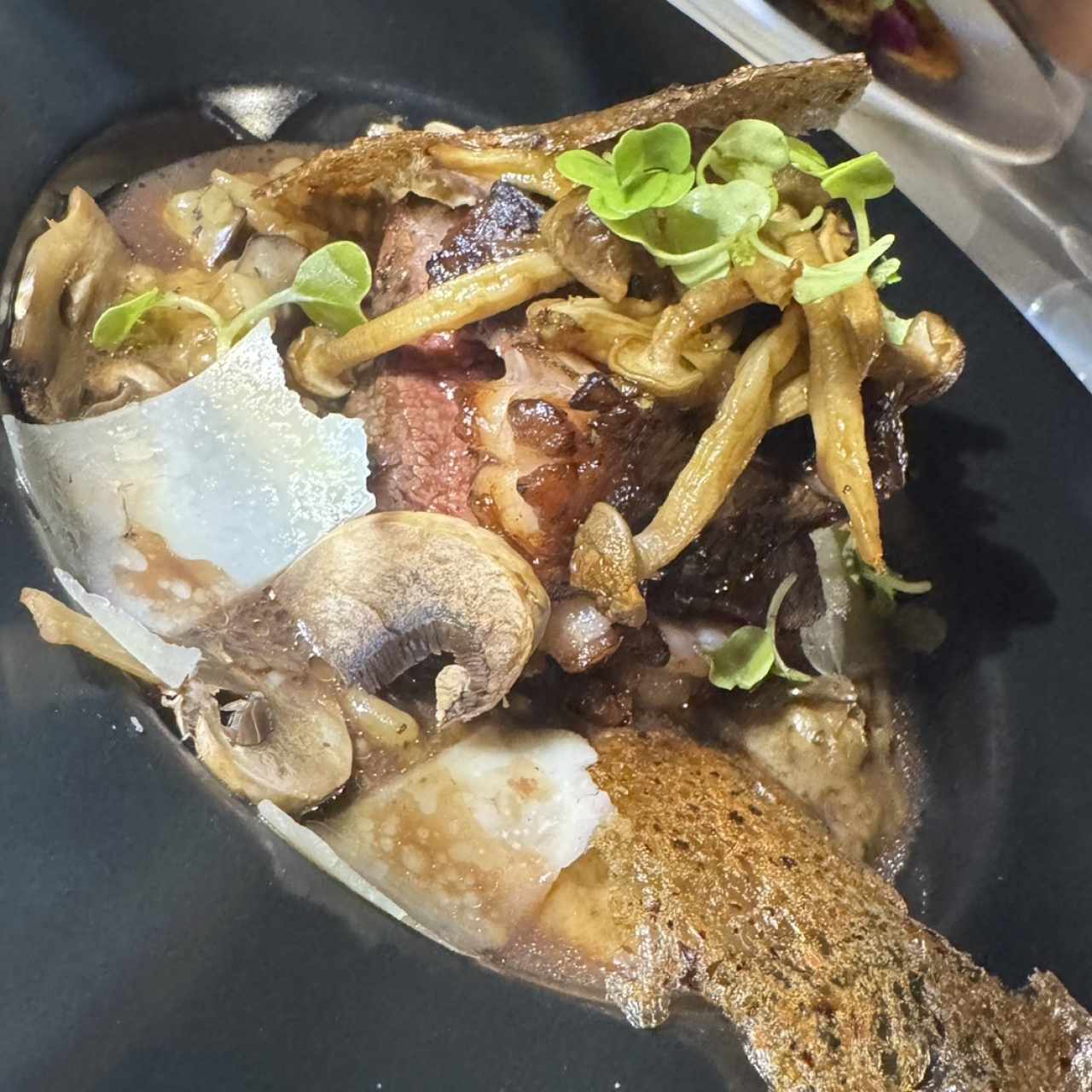Risotto de Hongo con Picaña