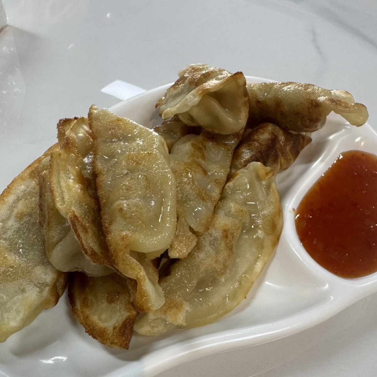 Dumpling A La Plancha
