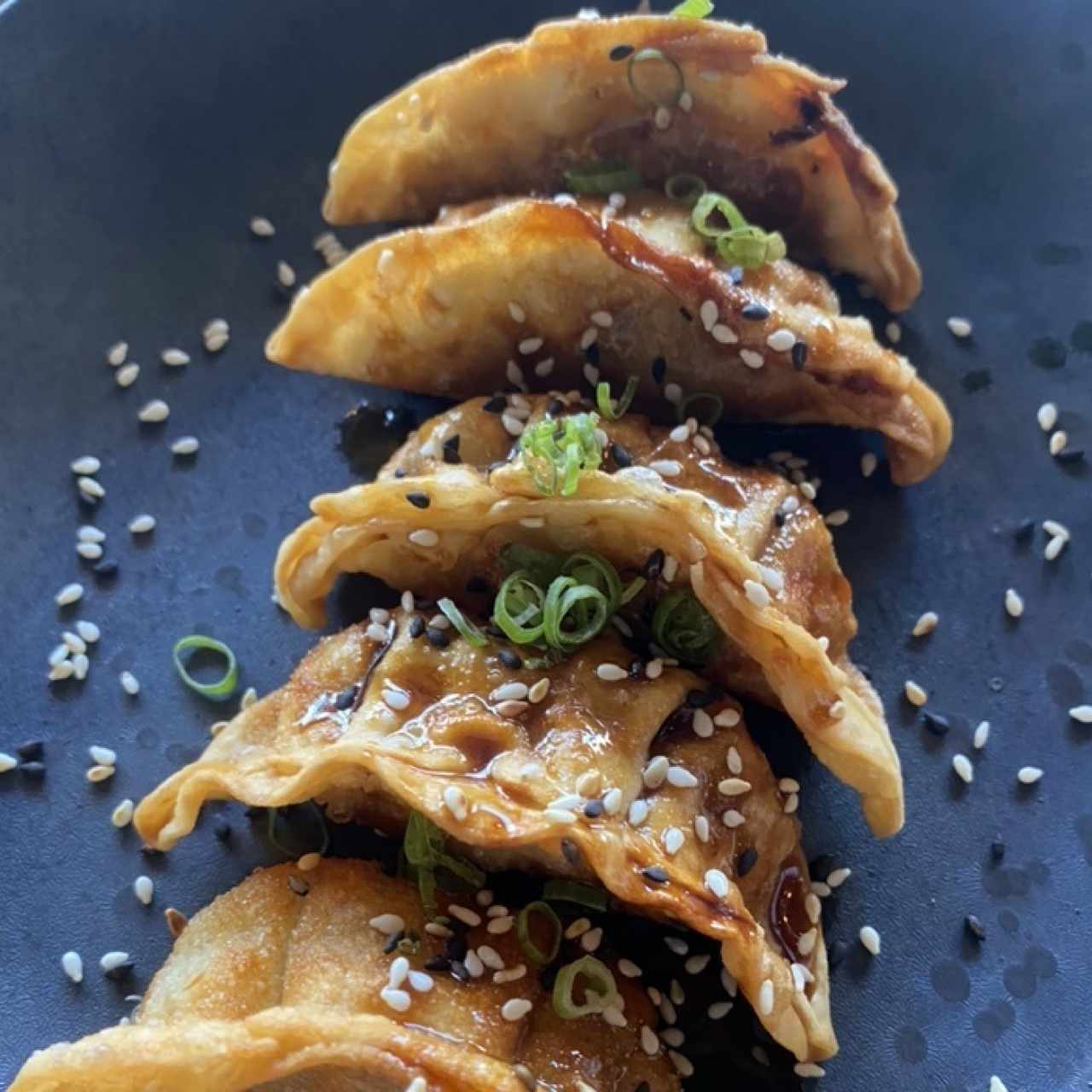 Gyozas de cerdo