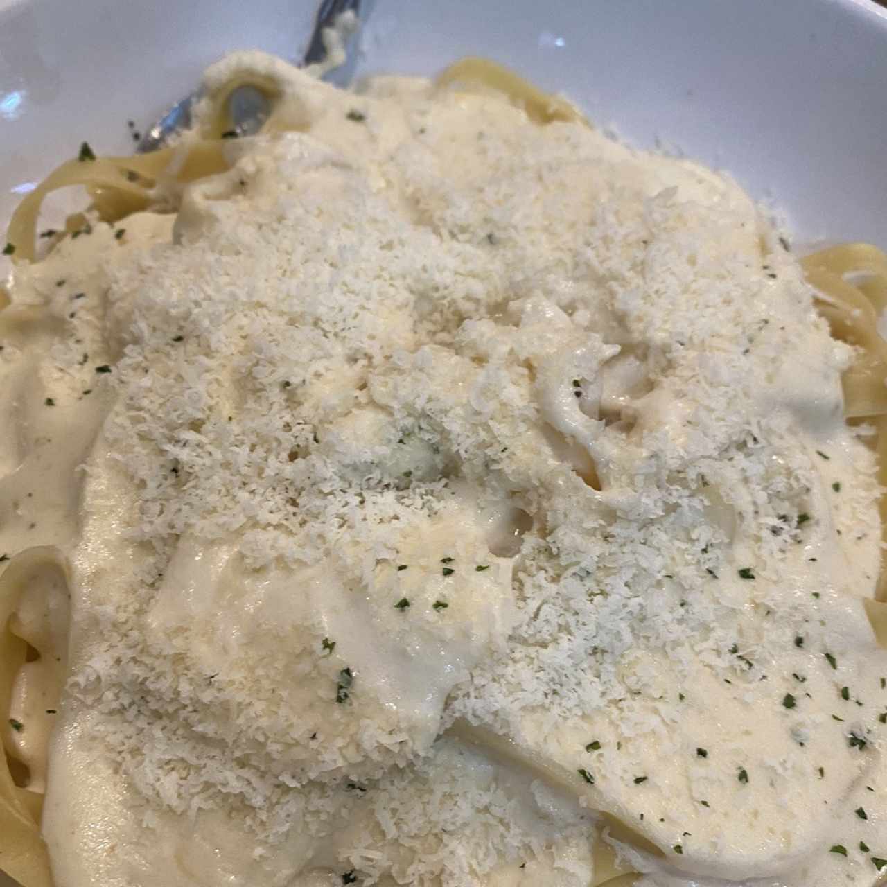 Pasta Alfredo 