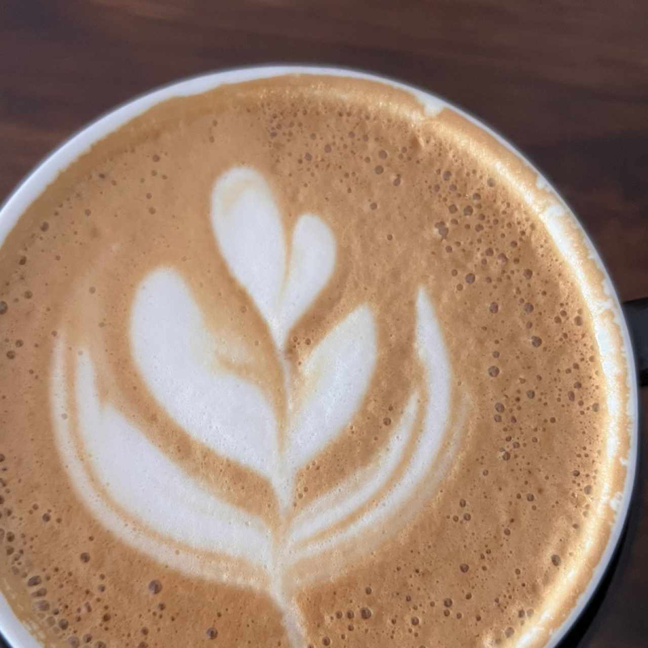 capuccino 