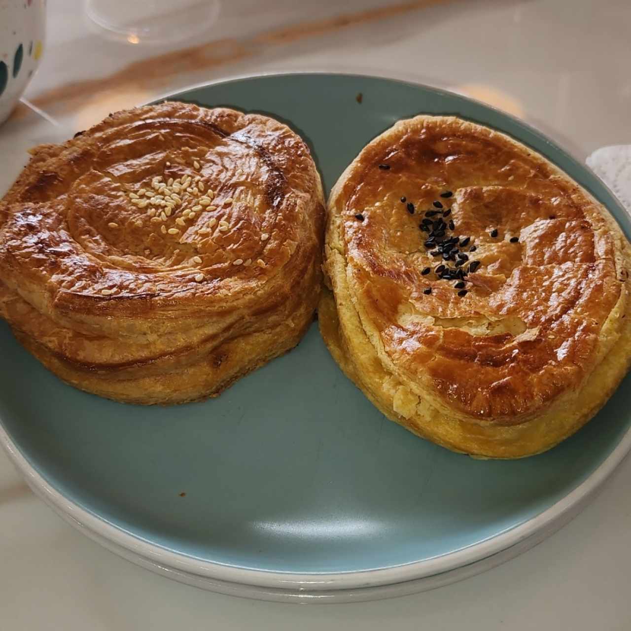 pastelitos de carne y pollo