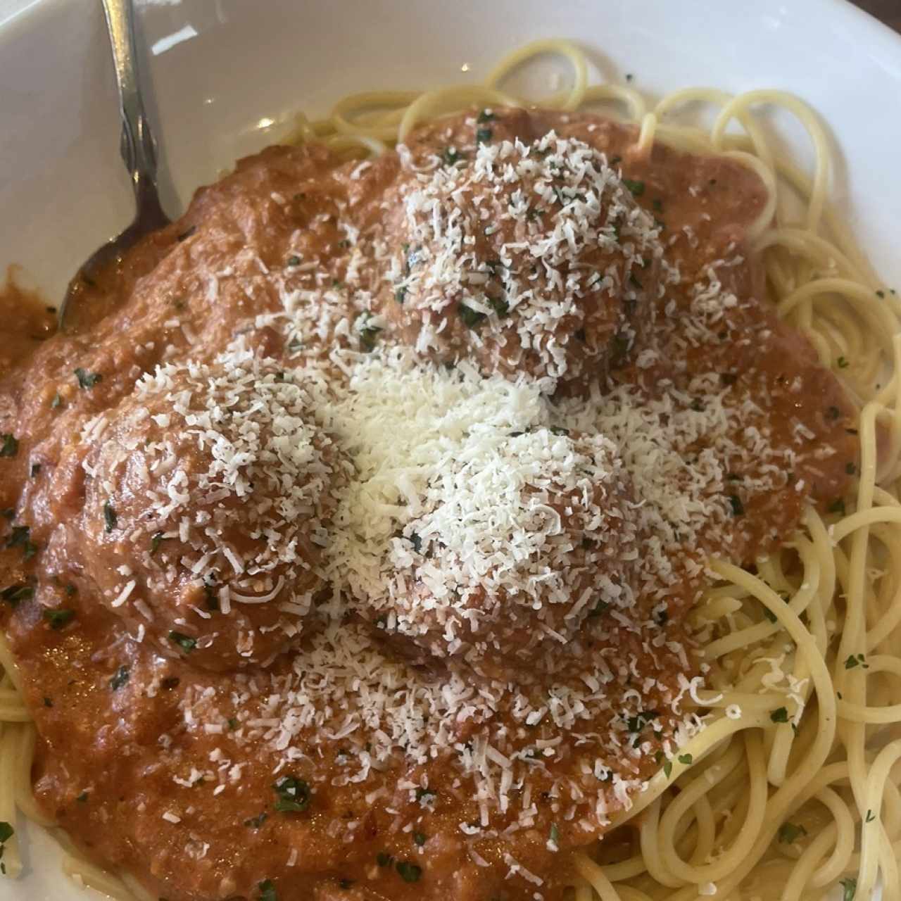 Classic Entreés - Spaguetti & Meatballs