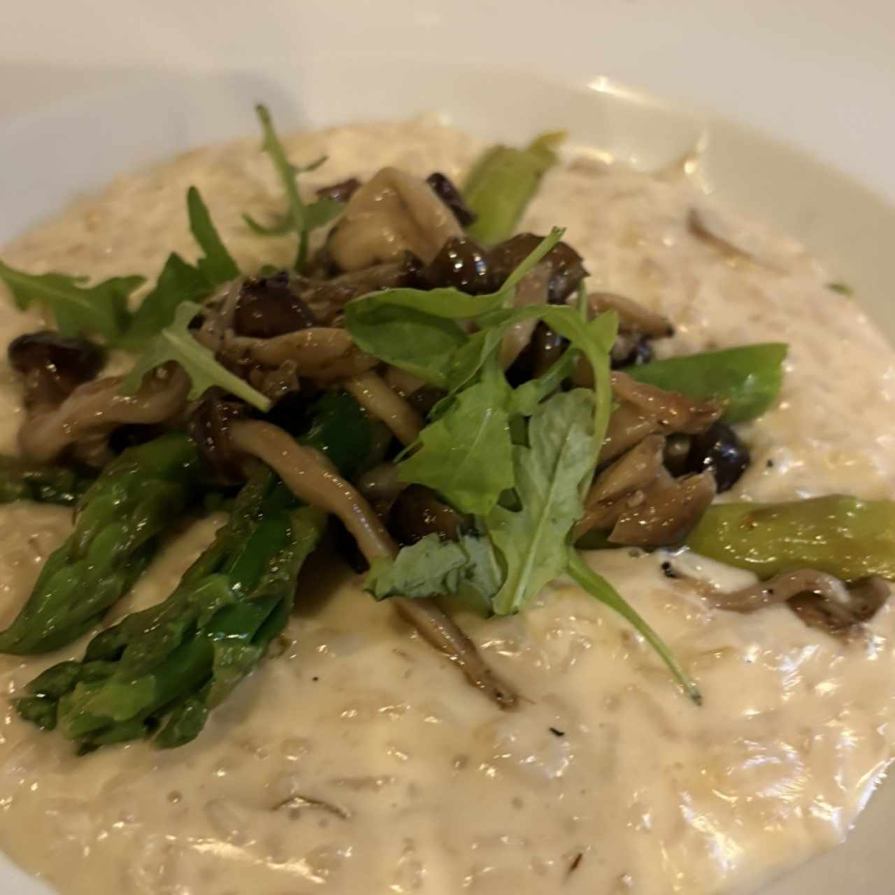 Bunappi Mushroom Risotto