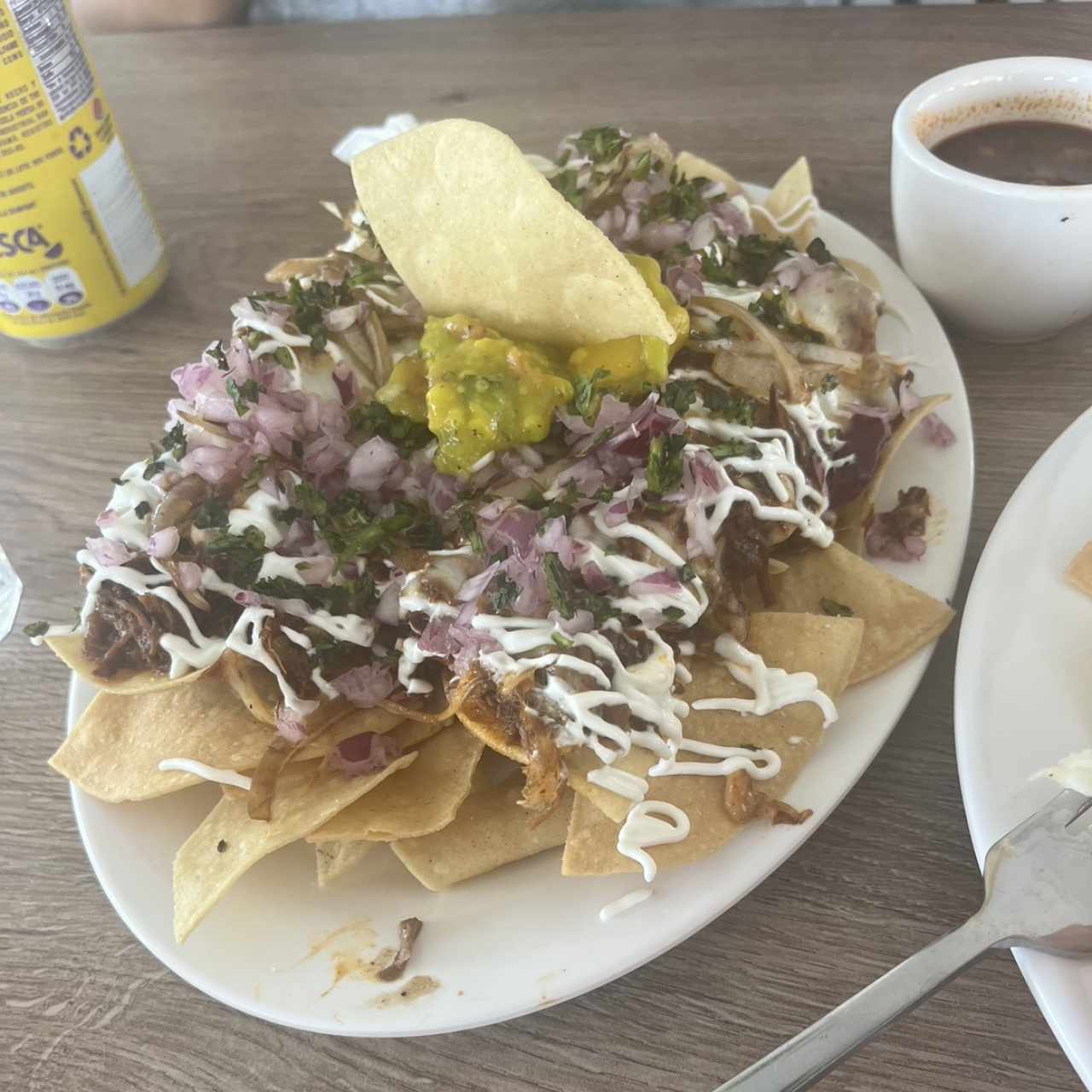 Nachos de birria