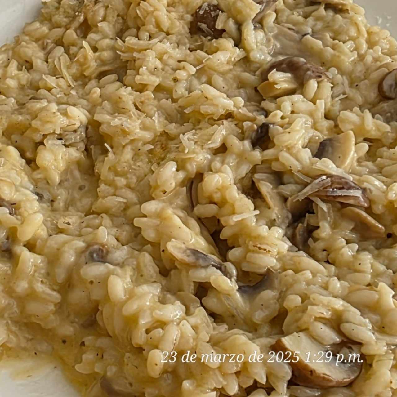 Risotti - Risotto Funghi