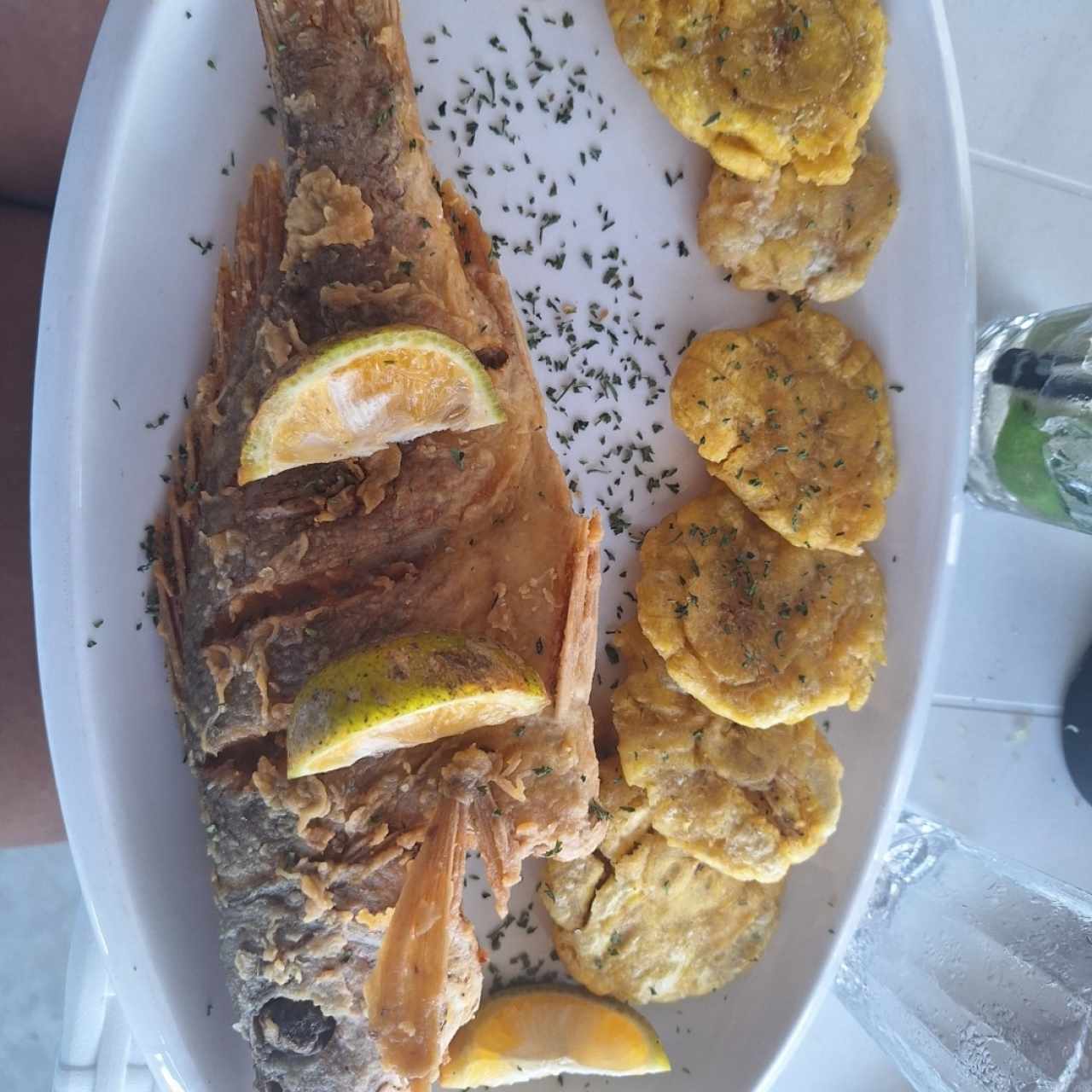 Pescado Corvina o Pargo