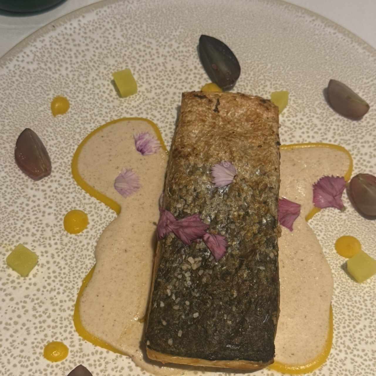 Salmón 