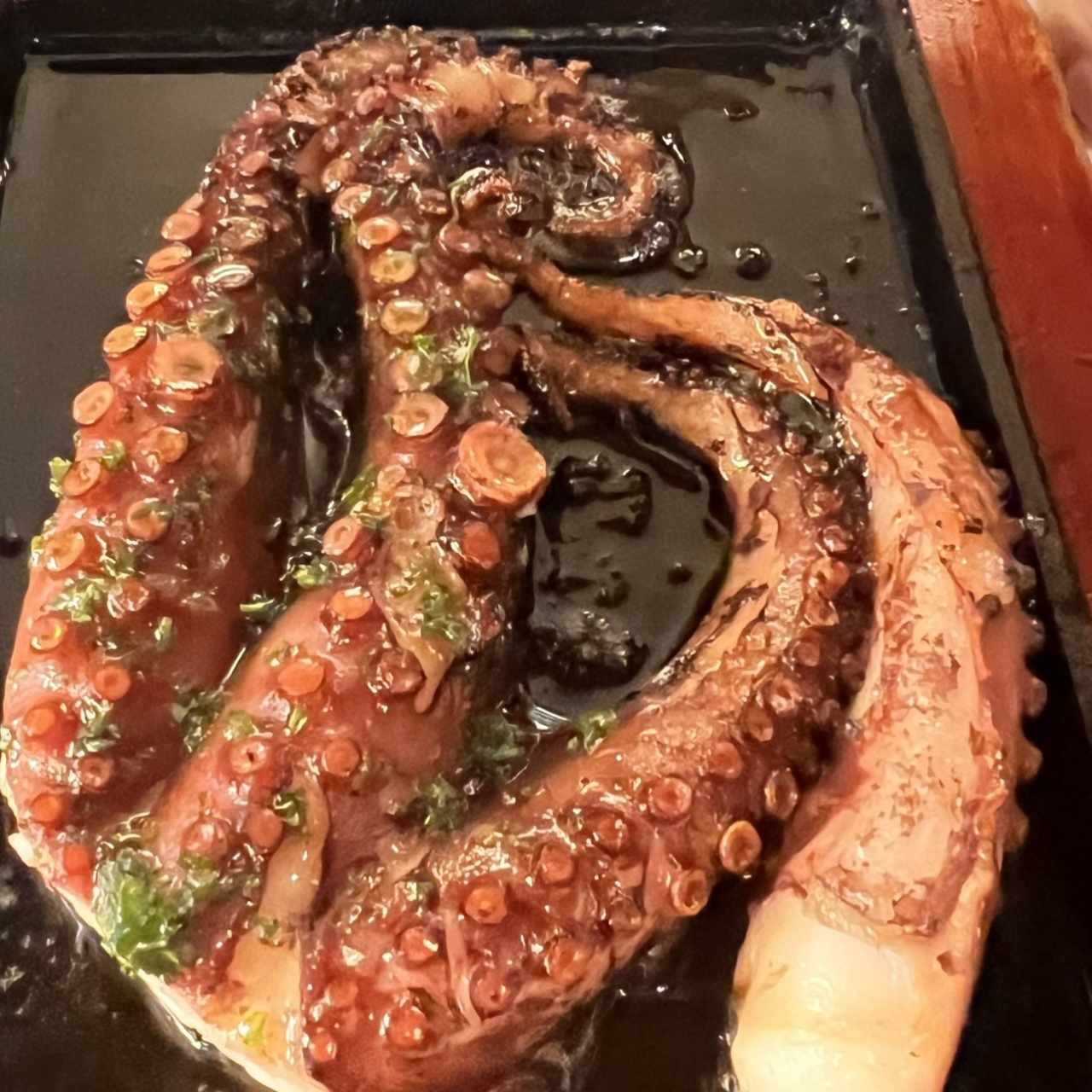 Pulpo