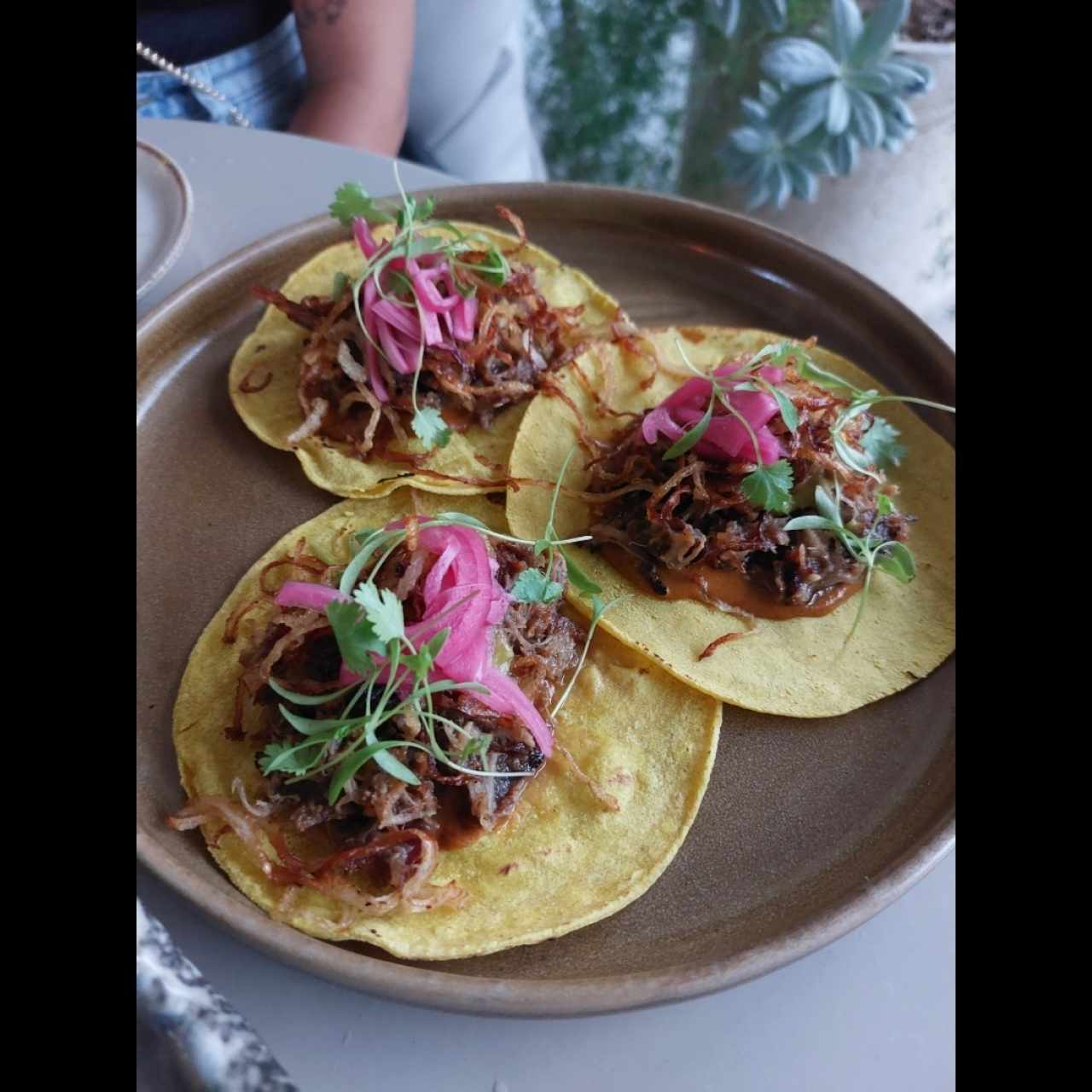 Confit Pork Tacos