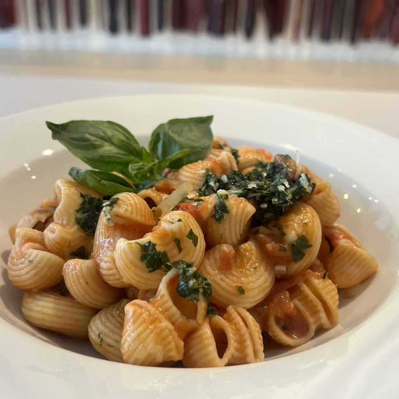 Canestrini en salsa de tomate fresco y albahaca.  