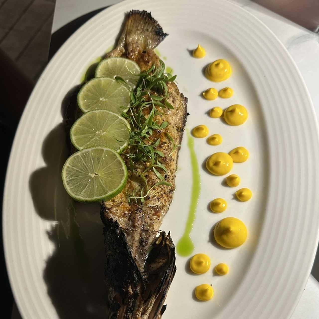 Corvina 