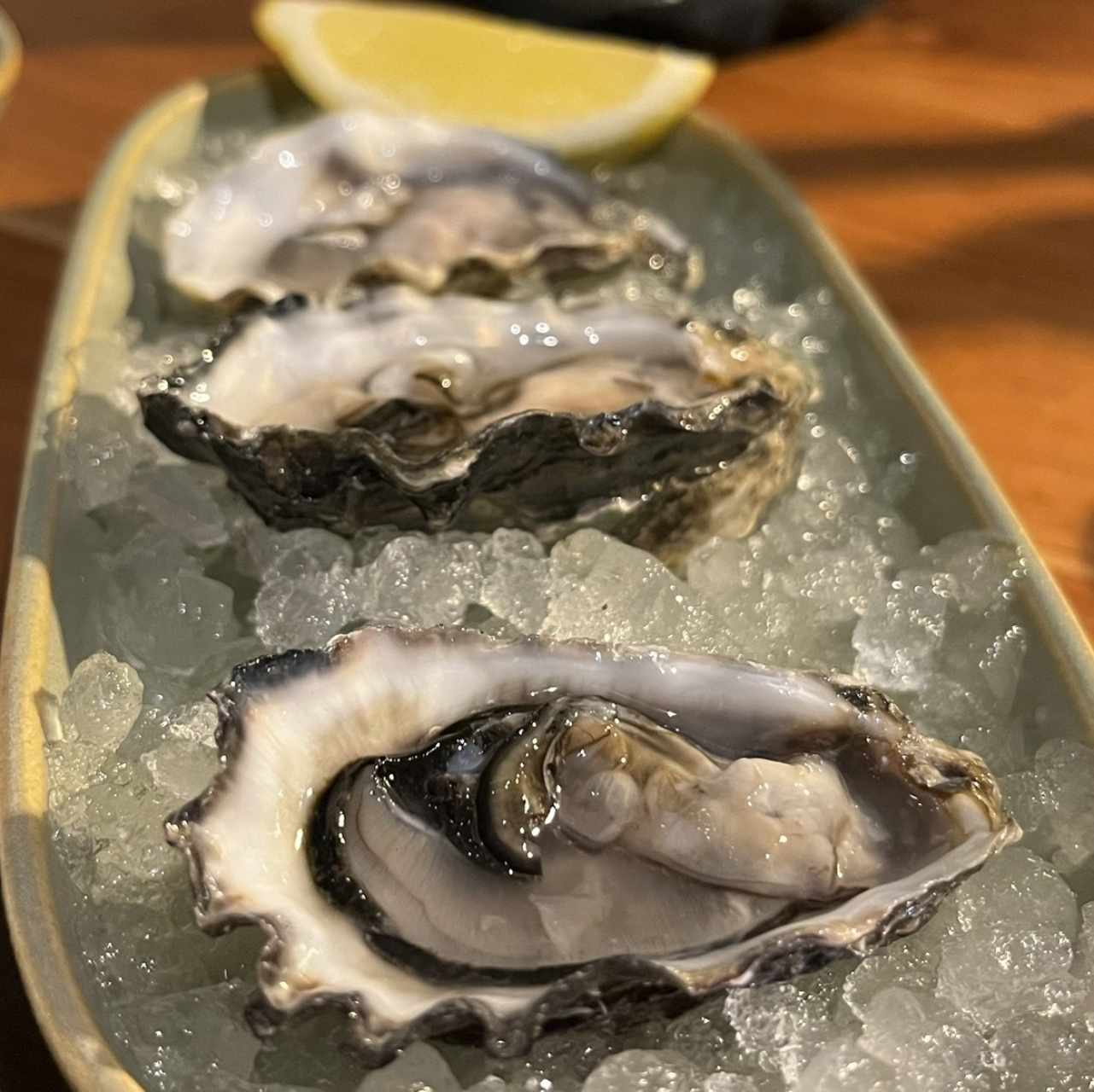 Kumiai Oysters