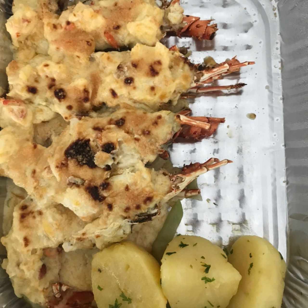 Platos Recomendados - Langostas Gratinadas