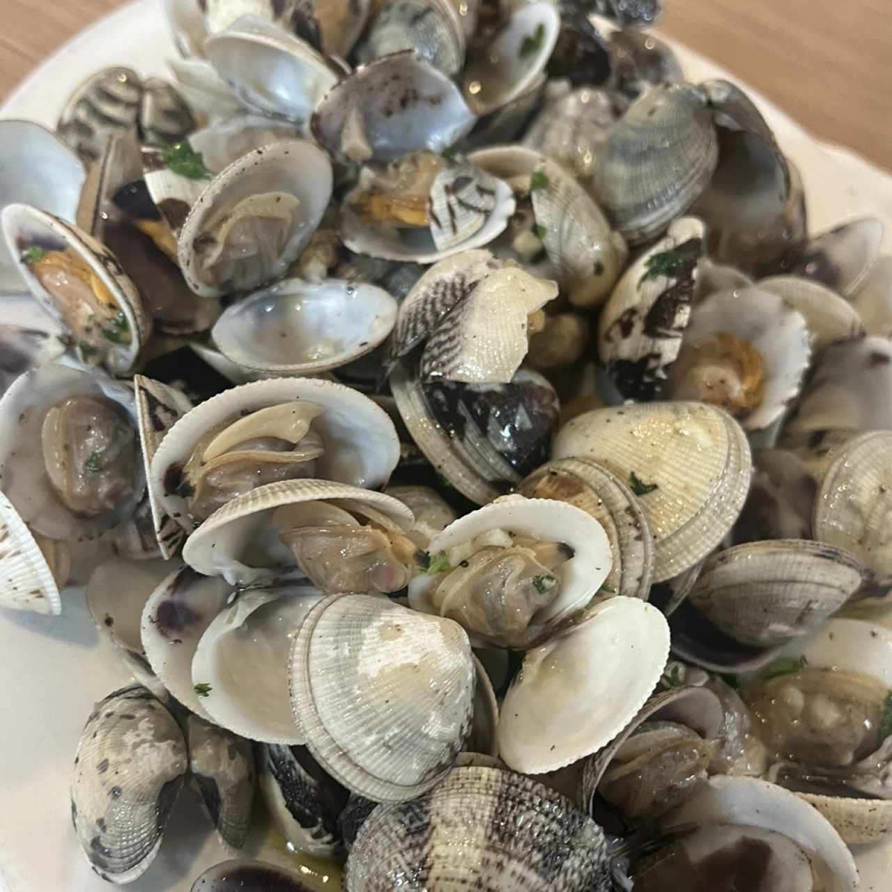 ALMEJAS EN CONCHA GENOVESA O NAPOLITANA CLAMS IN SHELL