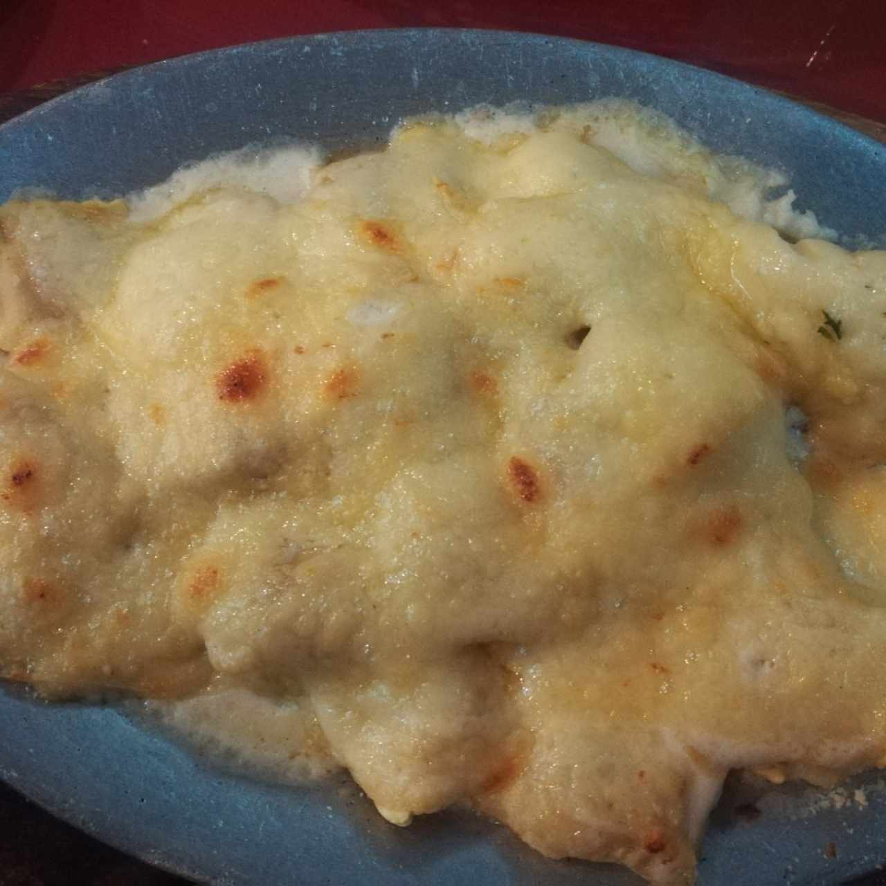 Rabiolli de pollo en salsa blanca y queso mozarrella