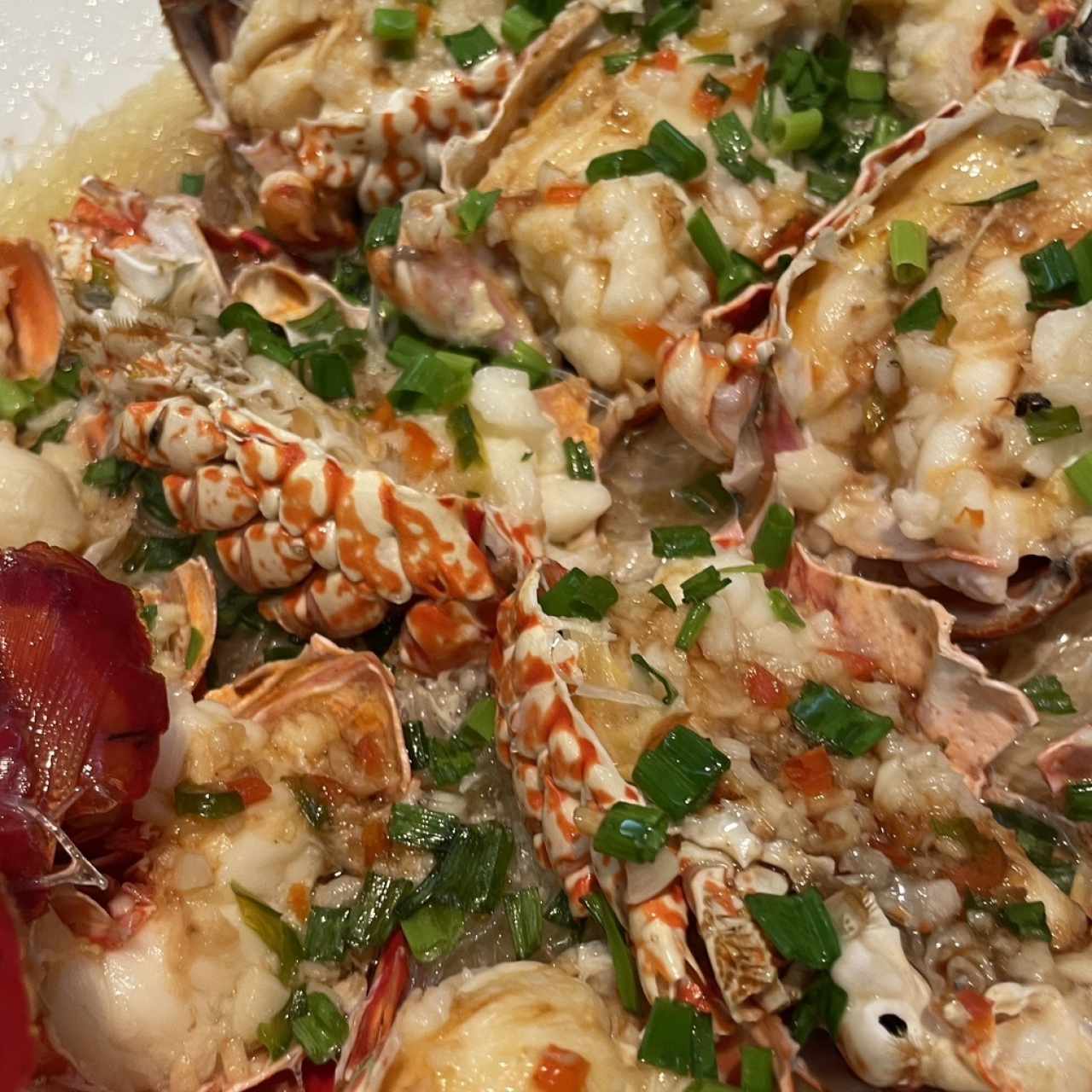 Langostino con Fansi