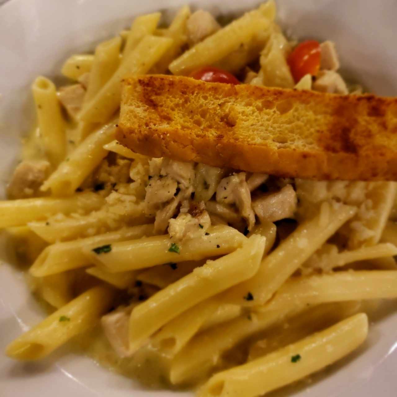 Pasta Chicken Alfredo