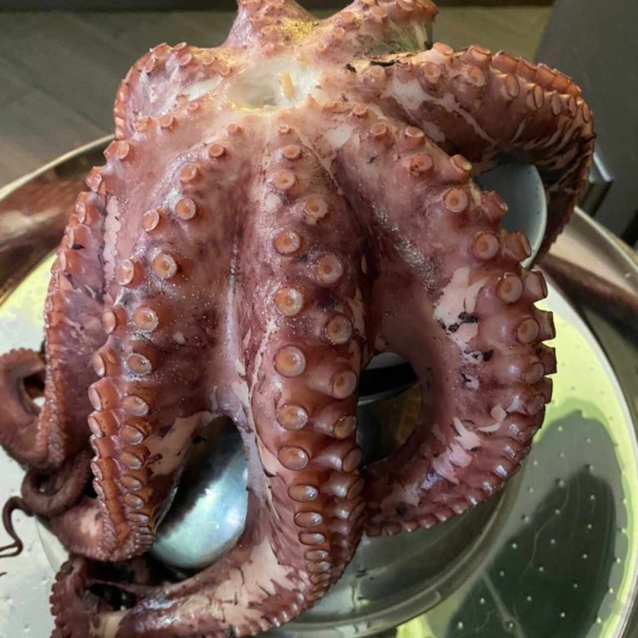 pulpo a la gallega (4kg)