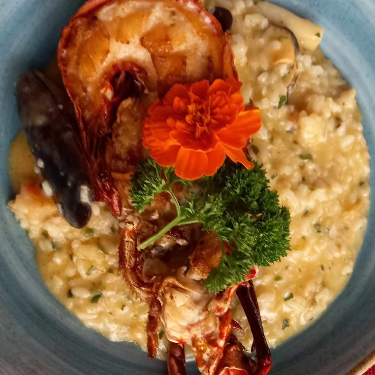 Risotto de Langosta