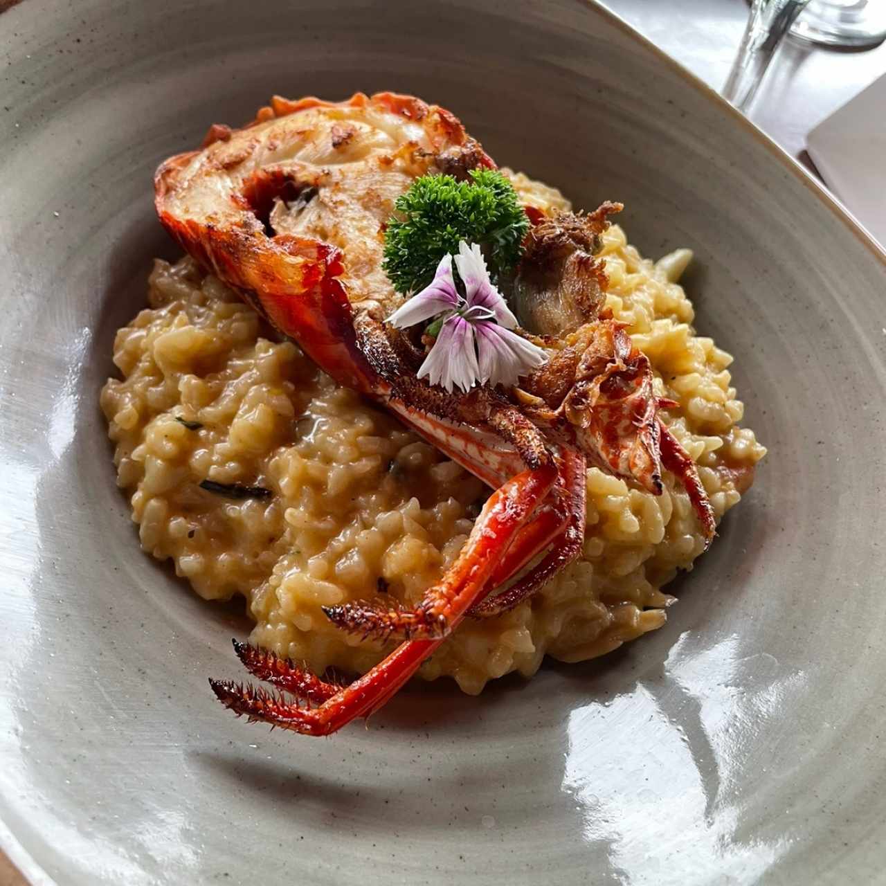 Risotto de Langosta