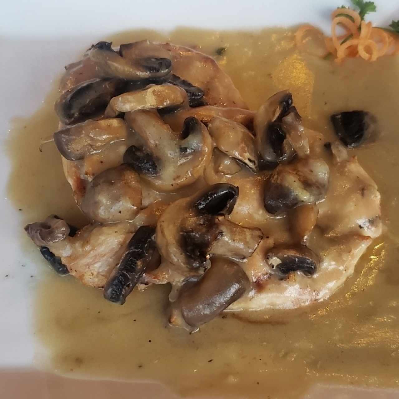 pollo en salsa de champiñones