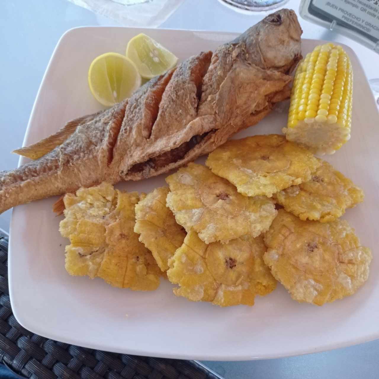 corvina frita entera