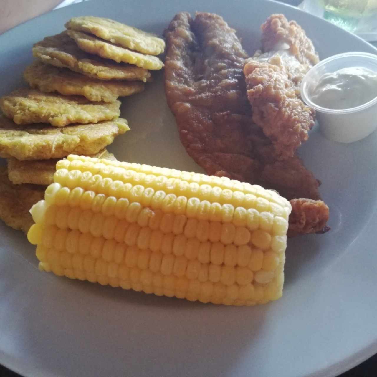 Filetes de Pescado Apanado con salsa Tártara