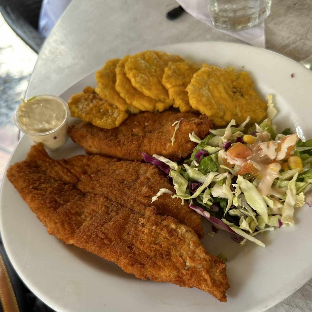 Corvina Entera Frita o en Salsa Criolla