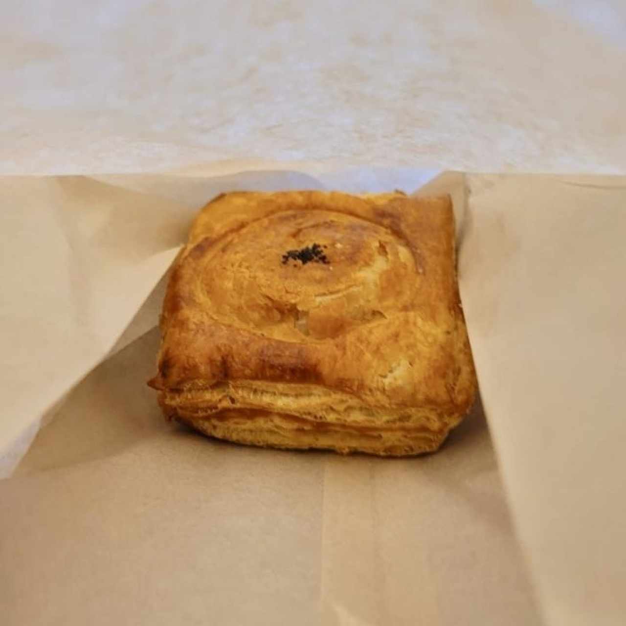 Pastelito de Carne