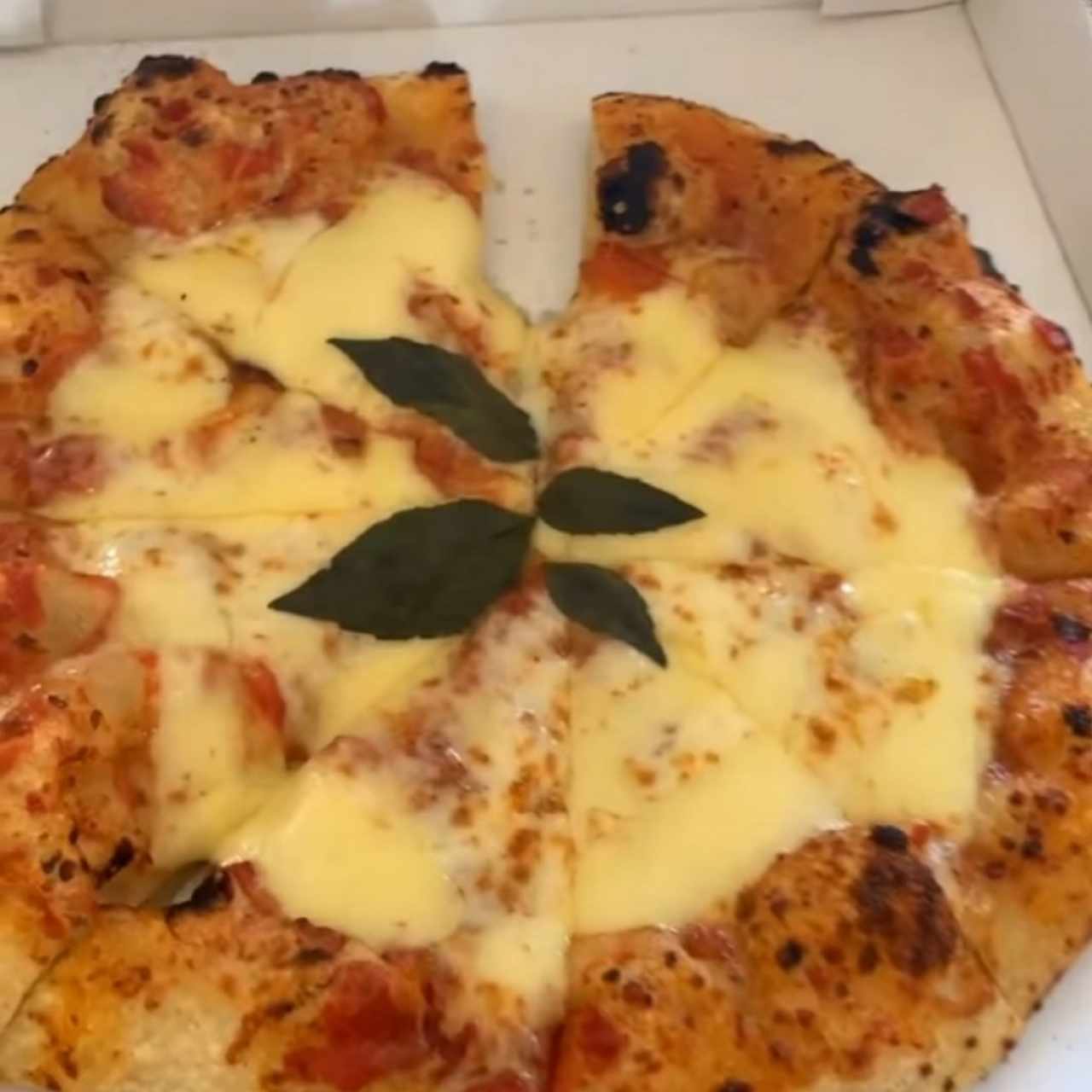 Pizzas - Pizza Margherita