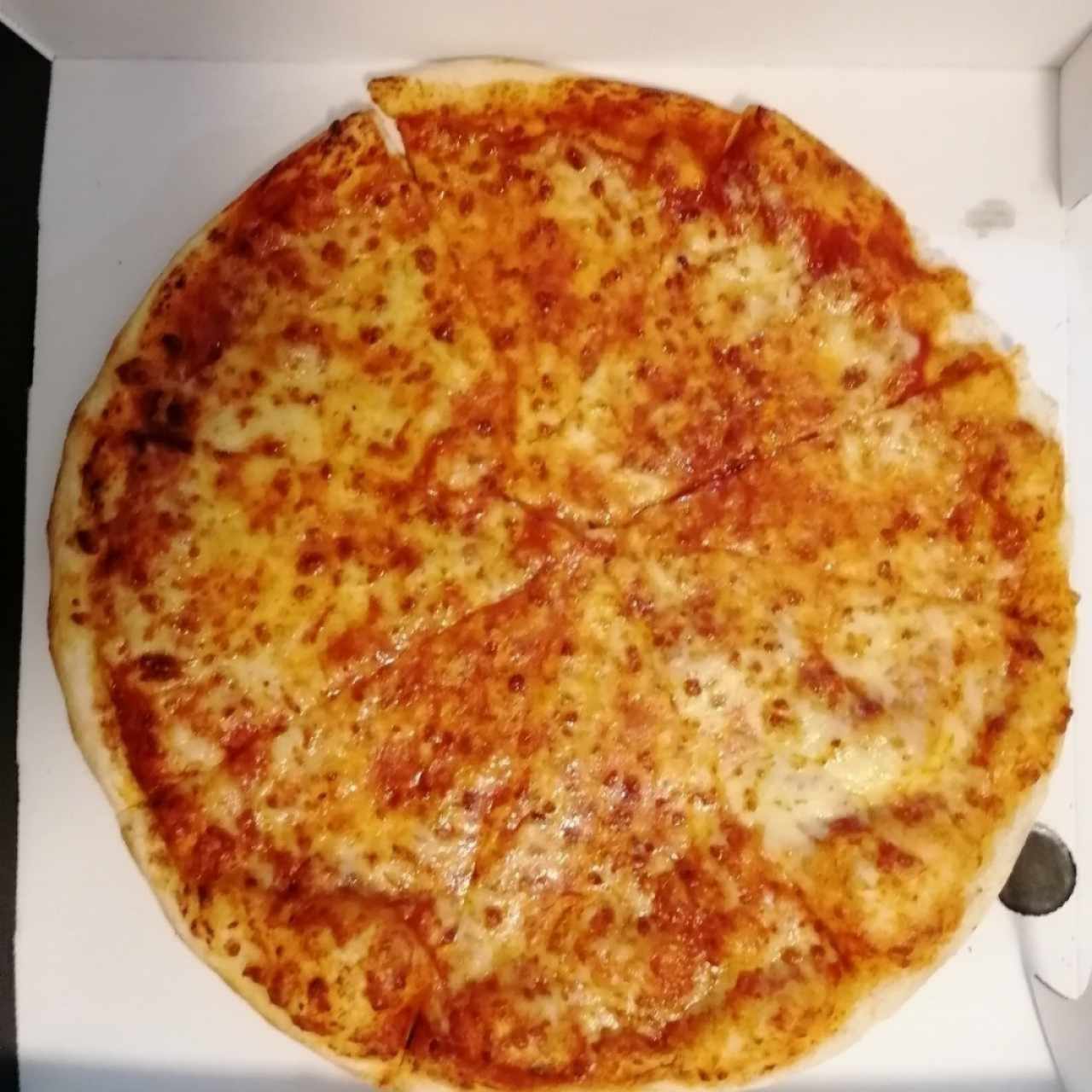 Pizzas - Pizza con Mozzarella