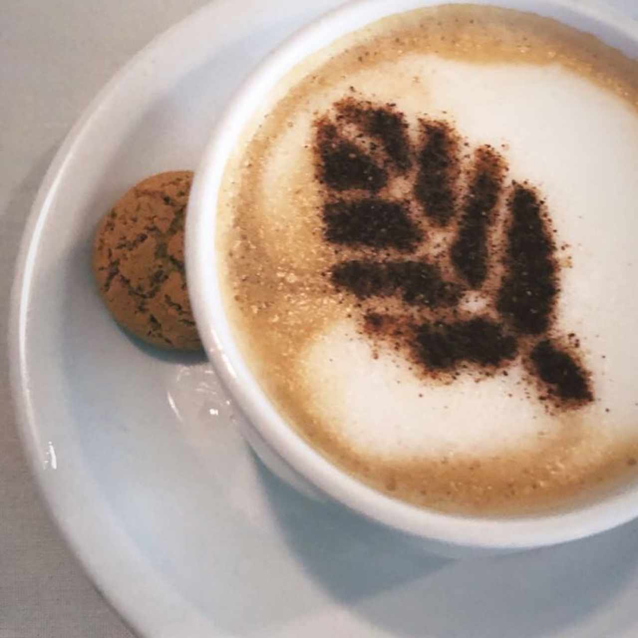 cappucino 