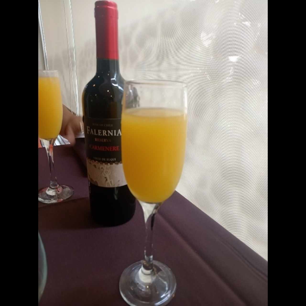 Mimosa