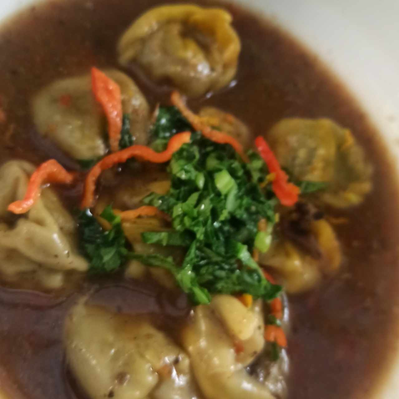 Plato Fuerte - Dumplings de Hongos