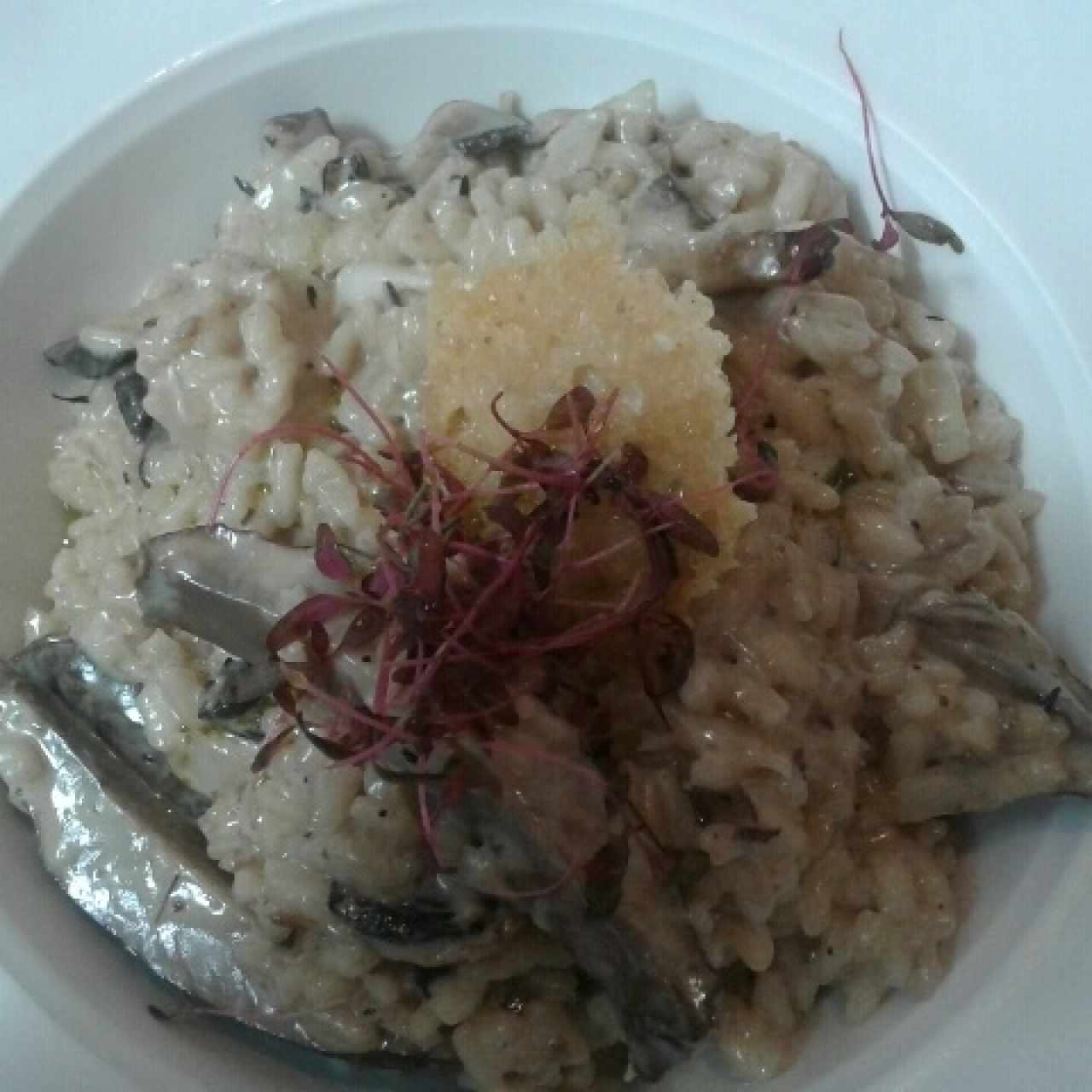 Risotto de Hongos