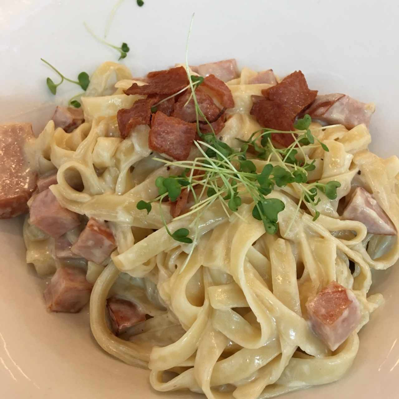 carbonara de pavo, fetuccini