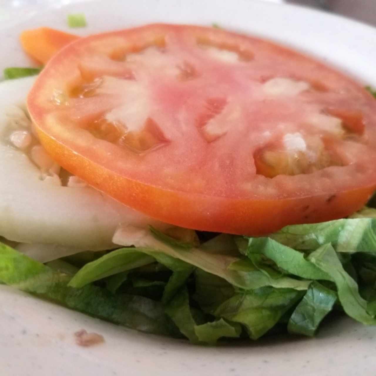 ensalada de vegetales