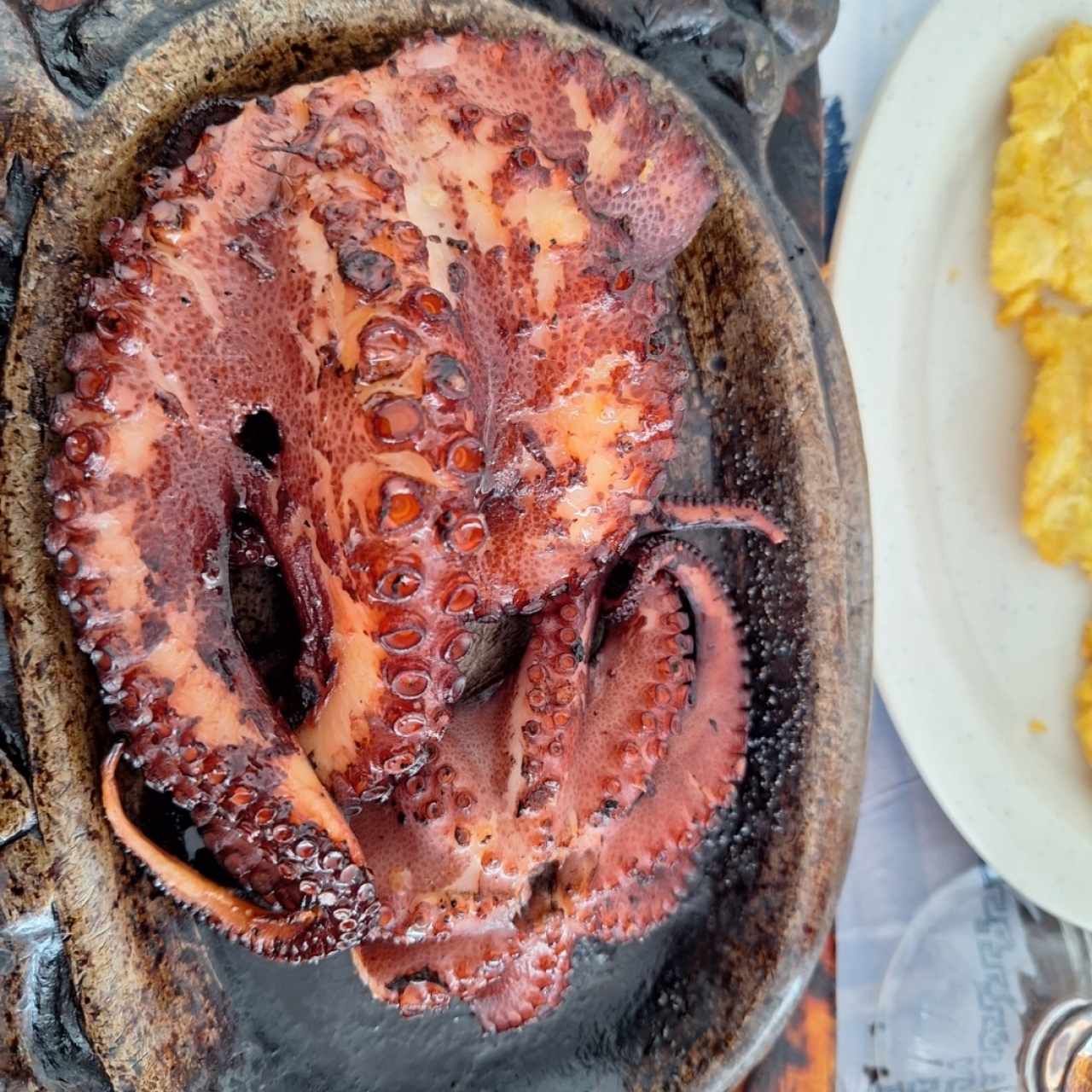 Pulpo al Carbón, al Ajillo, al Vino