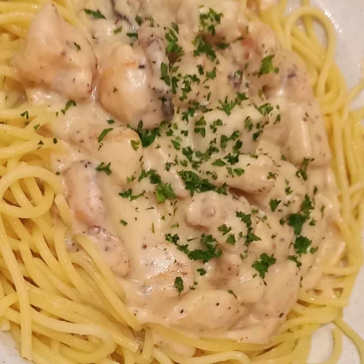 Spaguetti con Calamar y Camarón