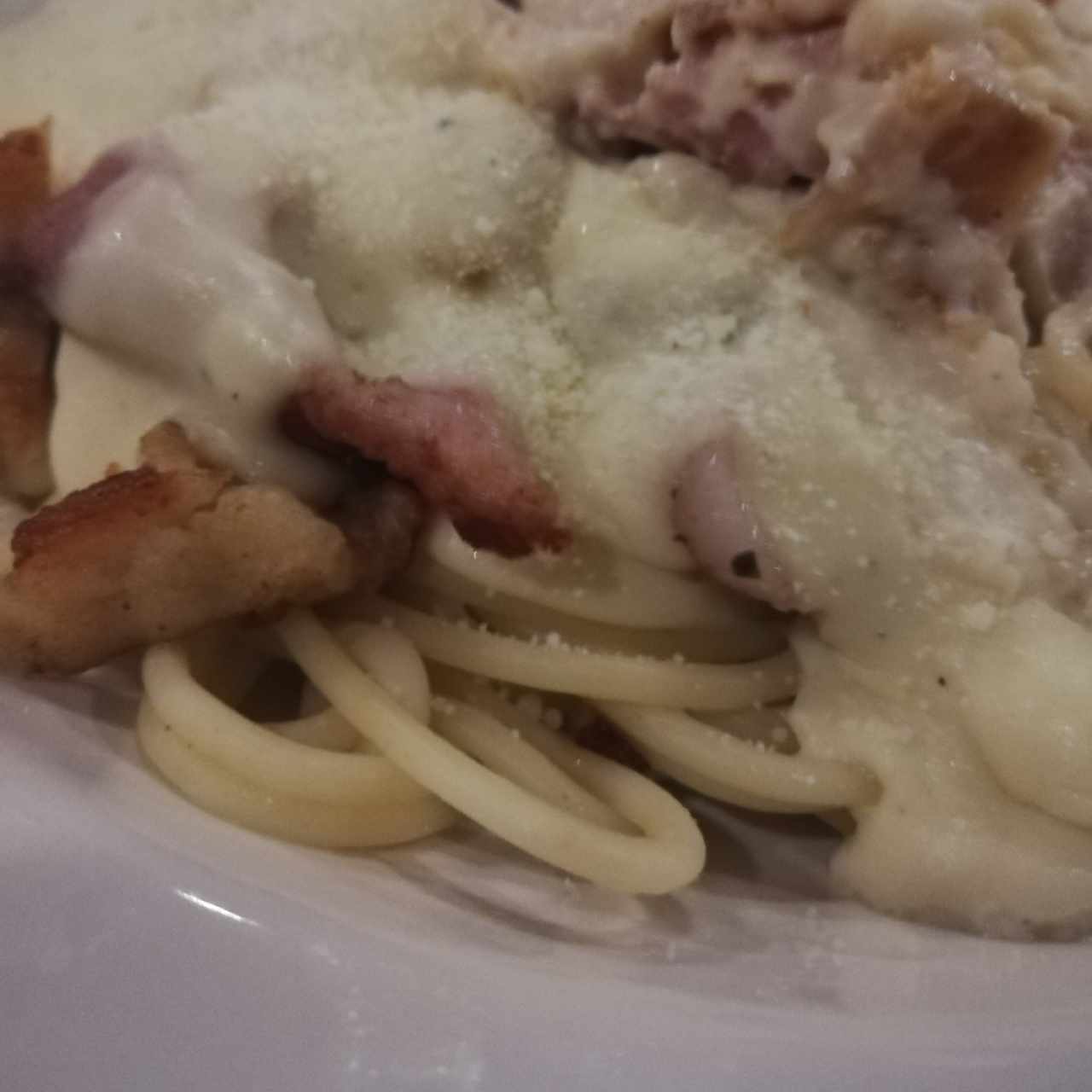 Spaguetti alfredo con pollo