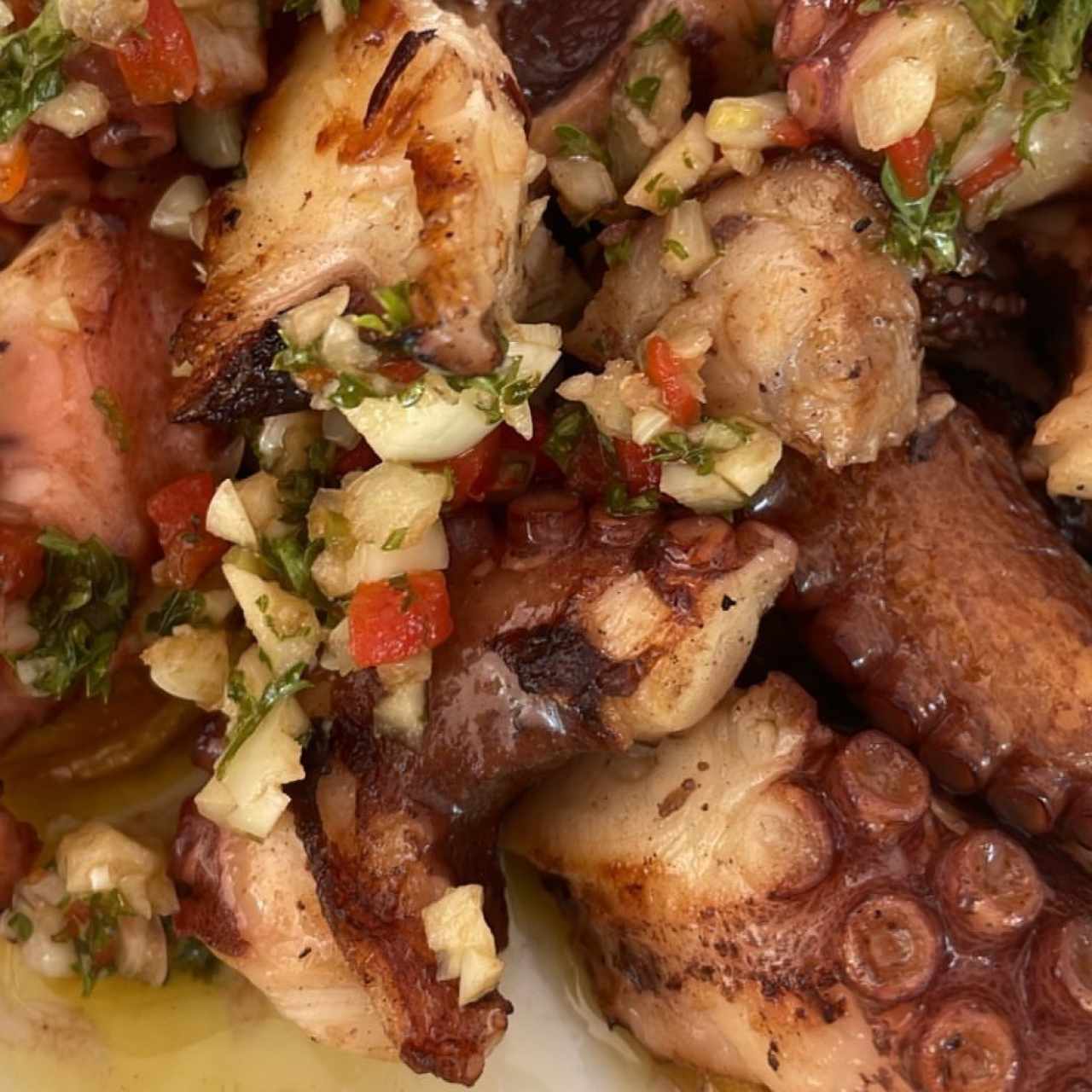 Pulpo a la Parrilla Sobre Medallones de Papa y Chimichurri